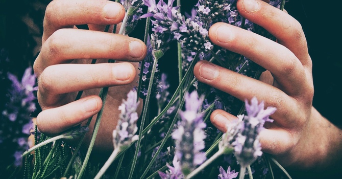 Restorative Soul (Hands On Therapies including Bioenergetic Scans and ATB Sessions)