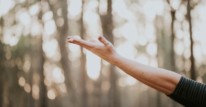 Birth or Postpartum Doula Services