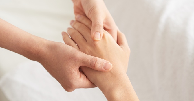Annual and Family Memberships